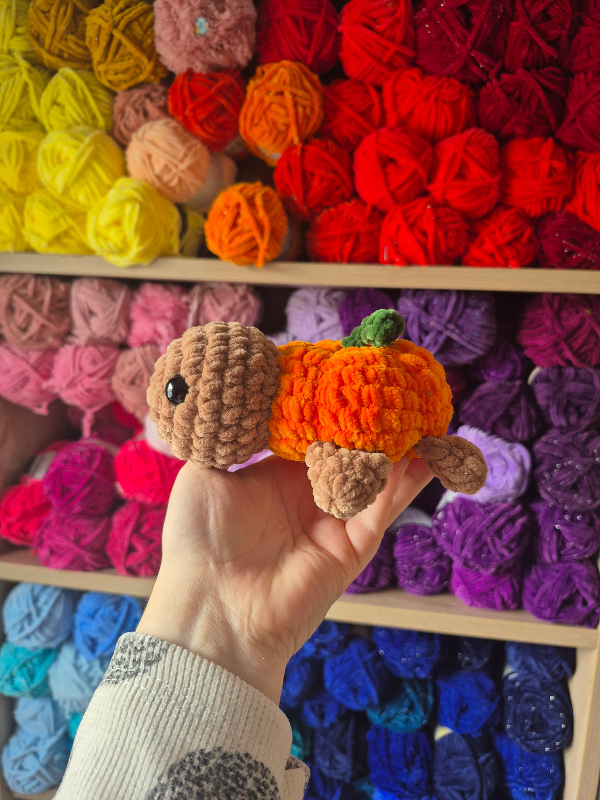 Pumpkin Turtle – kleine Schildkröte, ganz viel Herbstliebe