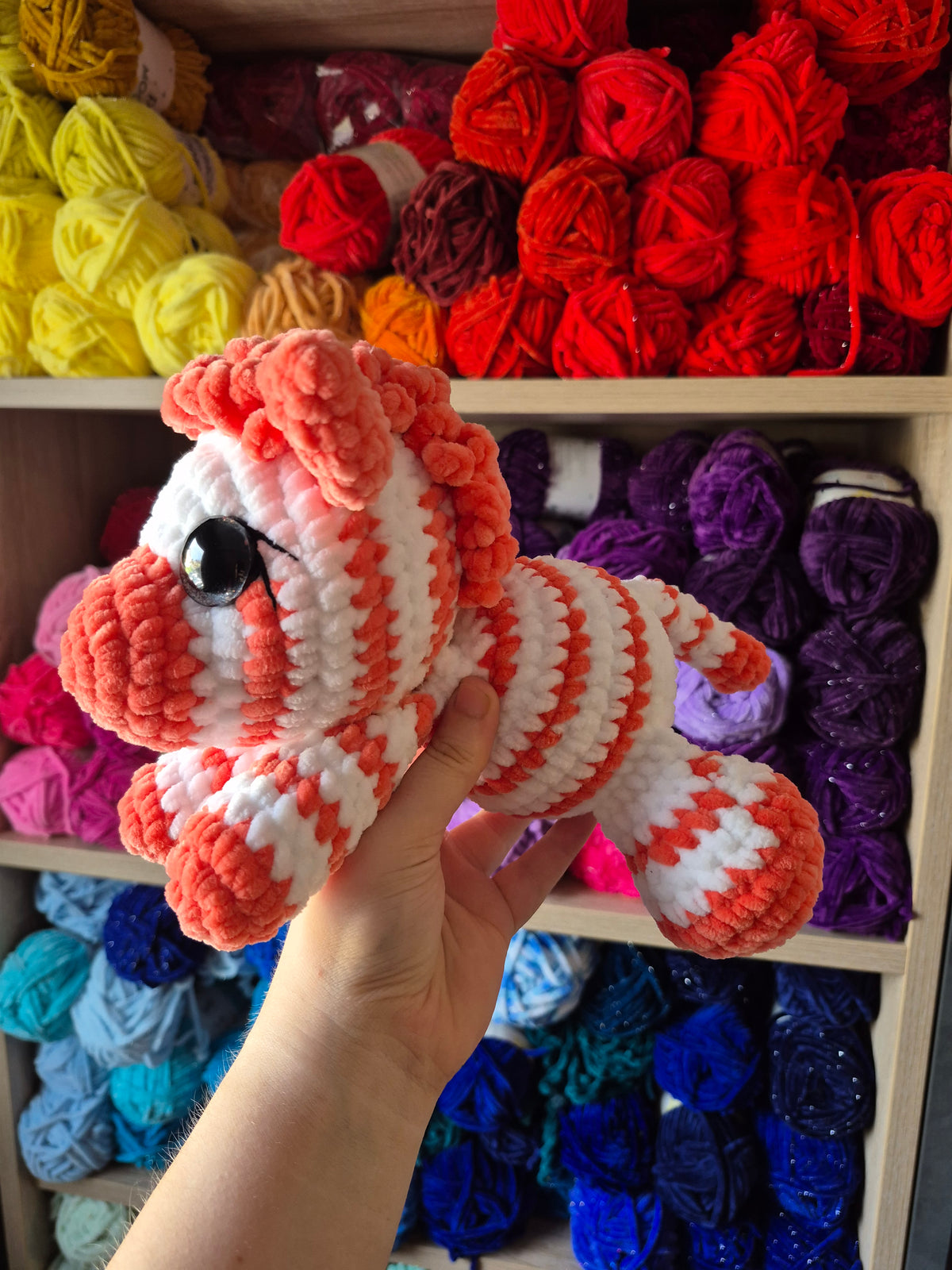 Zebra Amalia