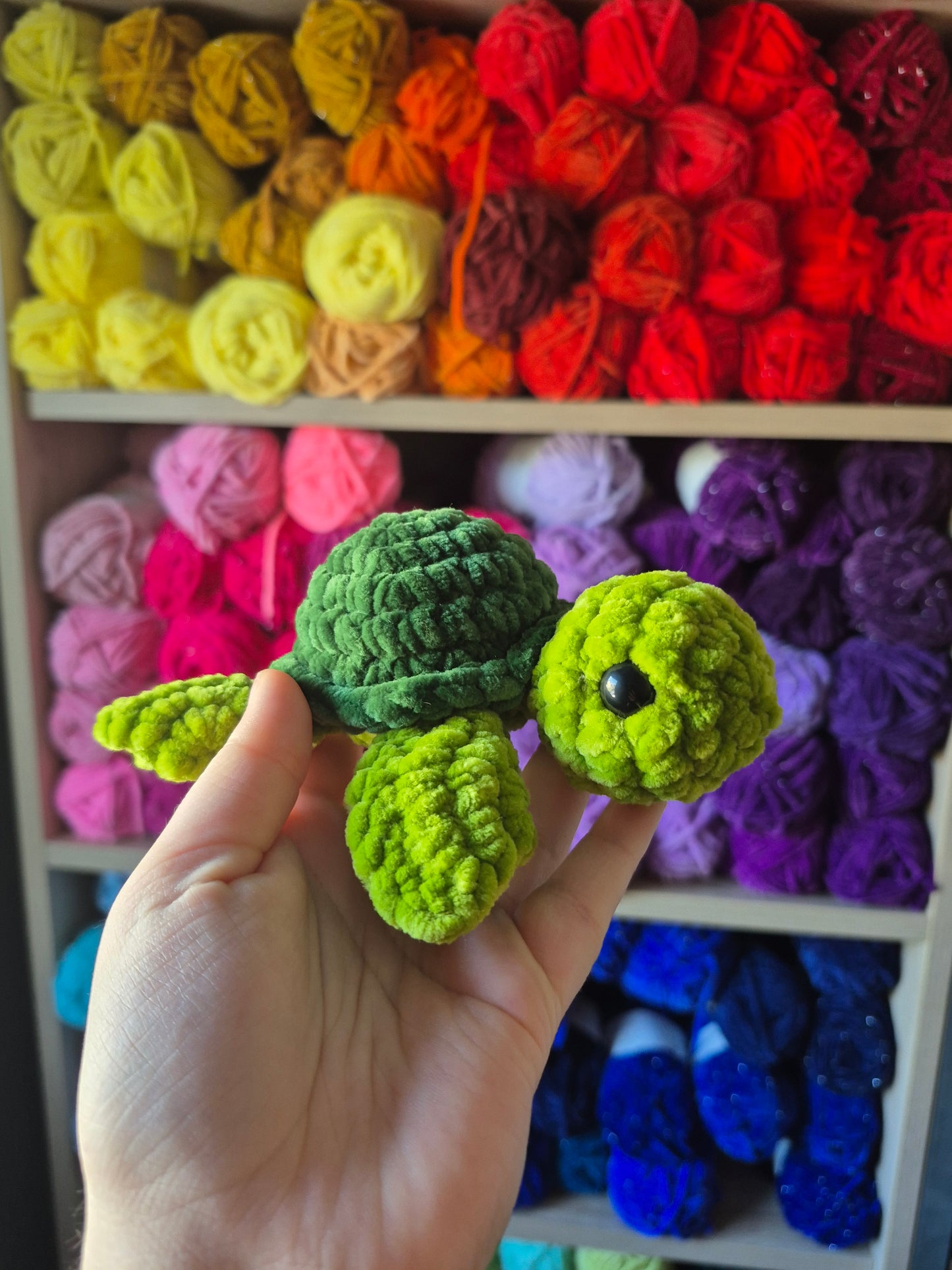 3 süße Schildkröten 💜🧡💚