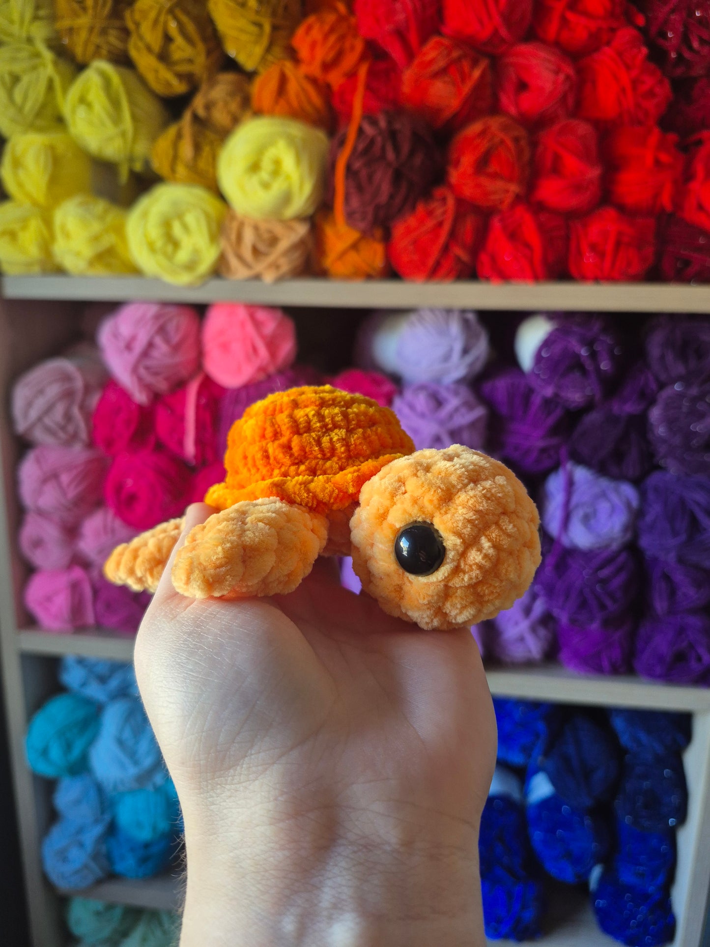 3 süße Schildkröten 💜🧡💚