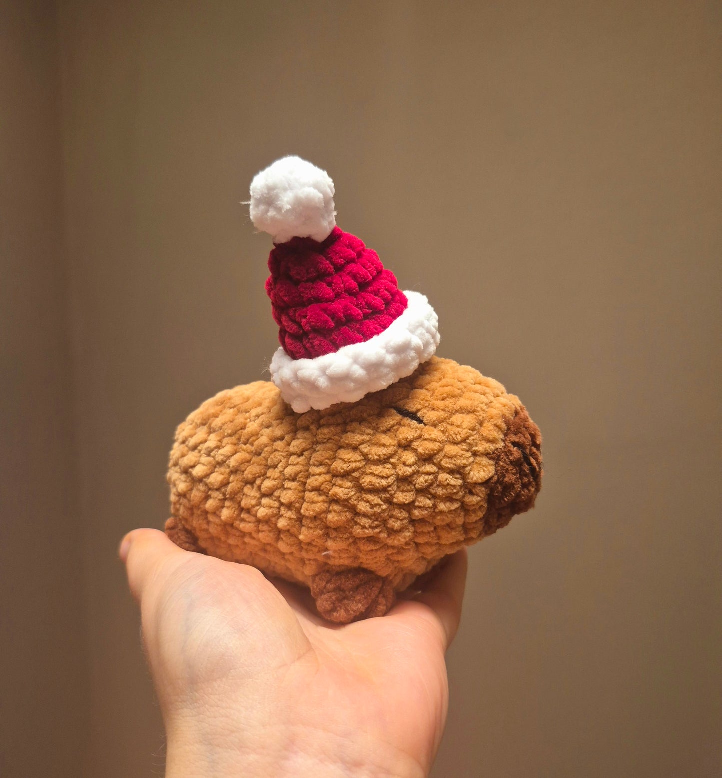 Weihnachts Capybara 🥰
