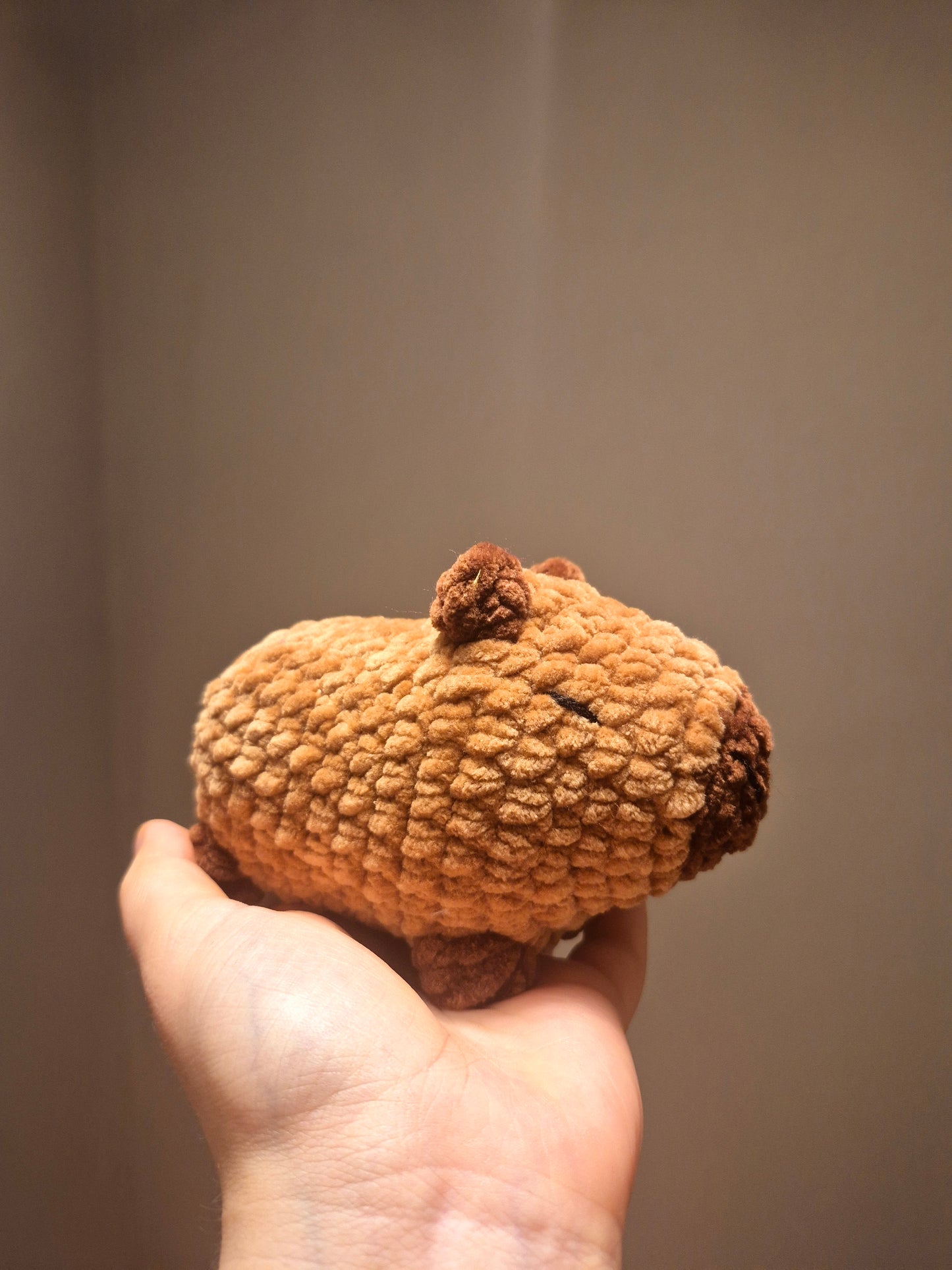 Weihnachts Capybara 🥰